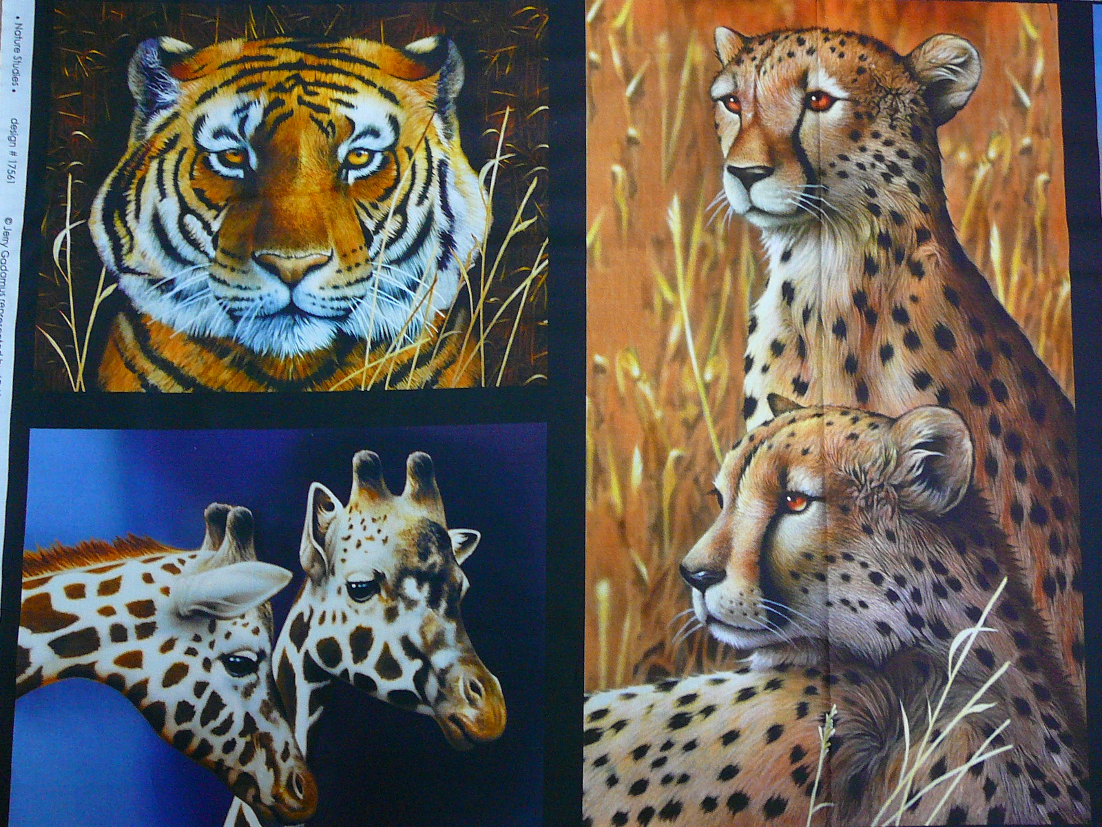 Digitální tisk - panel 110 x 60 cm - safari