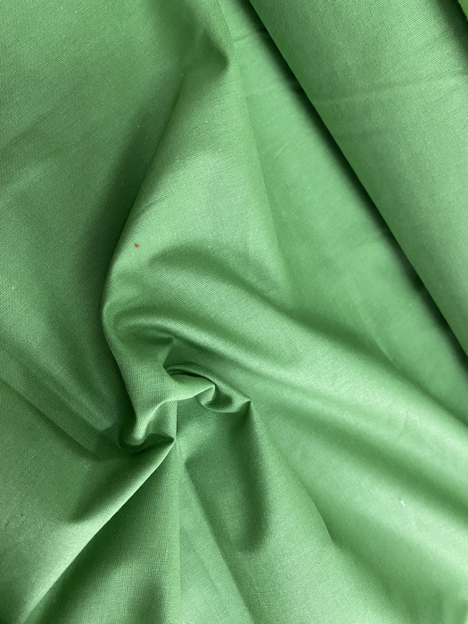 Bavlněná látka - jednobarevná Macaw green - šíře 140cm